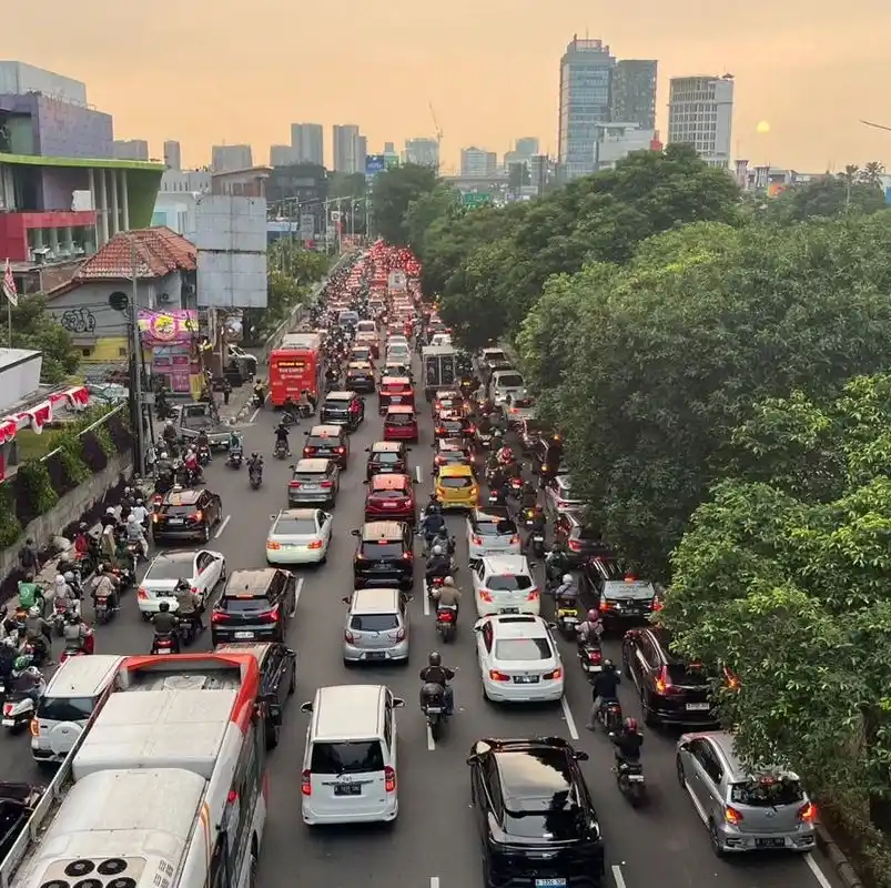 Polusi Jakarta dan Tanaman