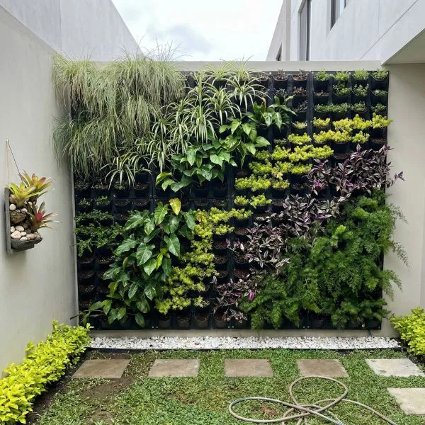 Office Vertical Garden