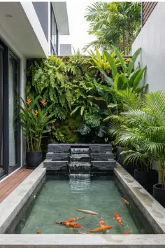 Sesudah Kolam Koi Jasa Kolam Koi Bogor