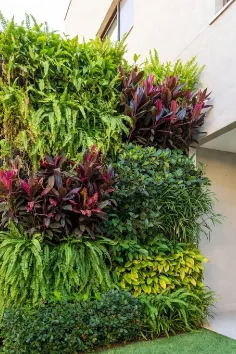 Sesudah Vertical Garden Jasa Vertical Garden Cibinong