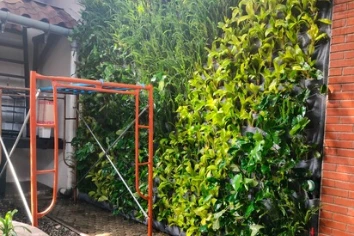 Vertical Garden Dinding Hijau